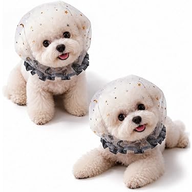 Amazon.co.jp 最新リリース: 犬用首輪・ハーネス・リード の新着
